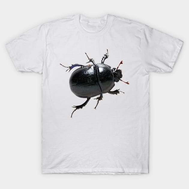 bug T-Shirt by alicia123